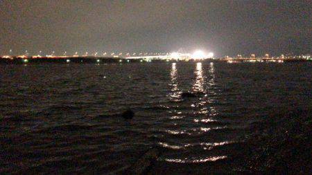 甲子園浜　シーバス×キビレ